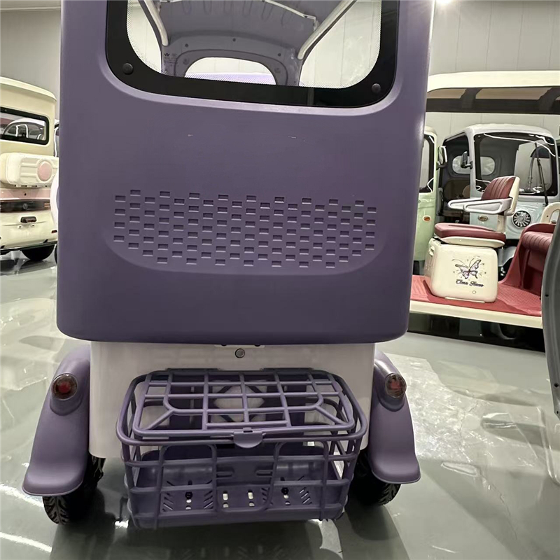 Electric tricycle DS-13 Powerful engine, safe and comfortable, ideal for urban transportation, cargo carrying and environmental protection (6)