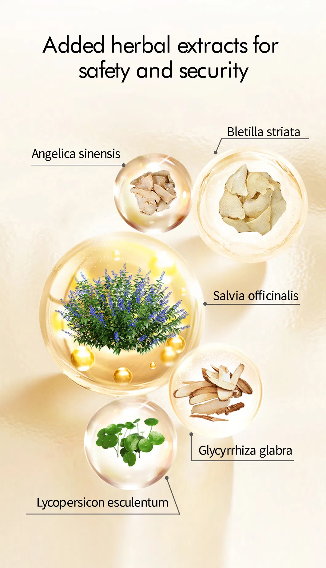 Skin Care Cream Detail 4