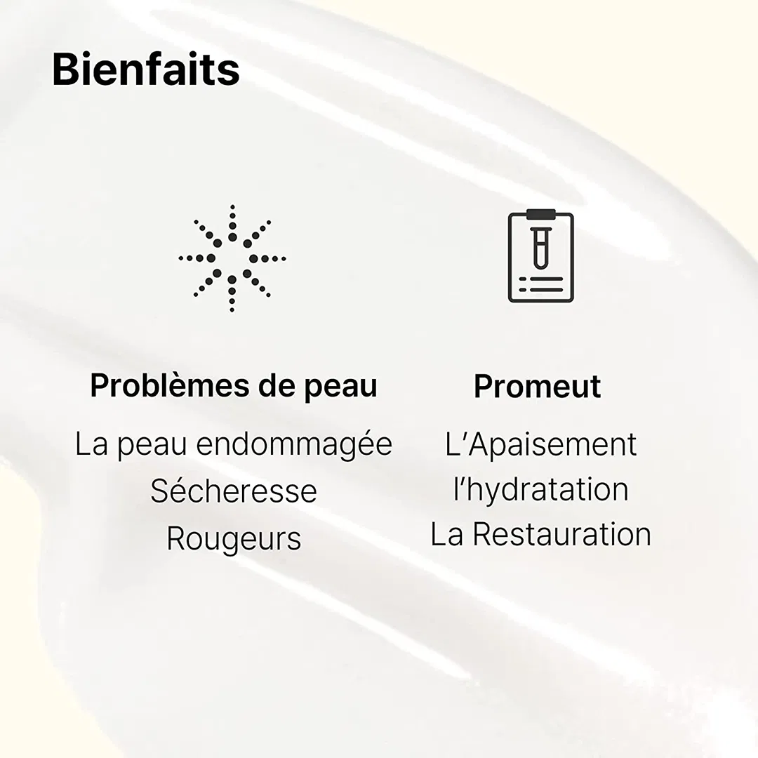 OEM SPF 20 Hyaluronic Acid Collagen Moisturizing Snail Face Cream Skin Care