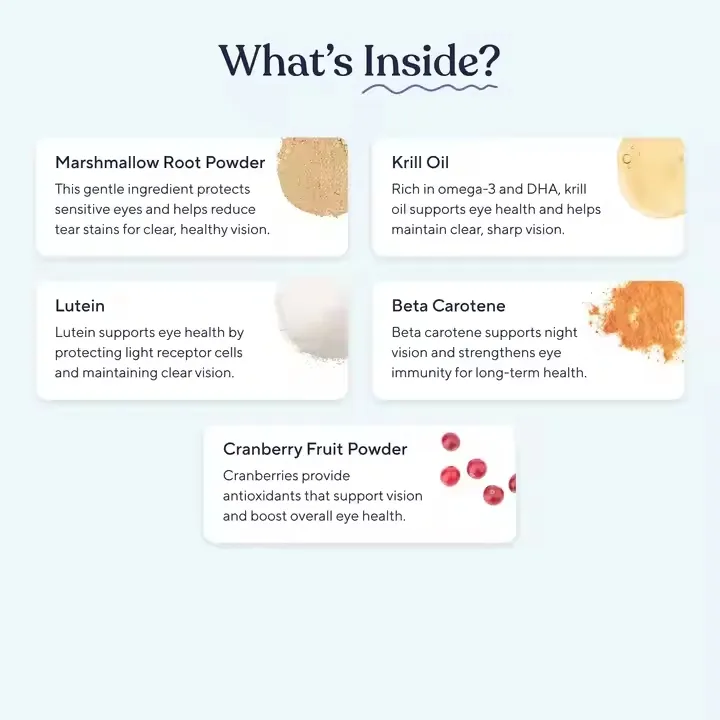 Pet Vision Support 4