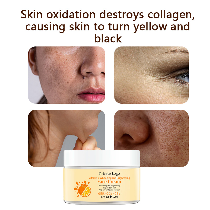 Daily Use Day and Night Face Cream Custom Logo Whitening Brightening Moisturizing Vitamin C Facial Cream