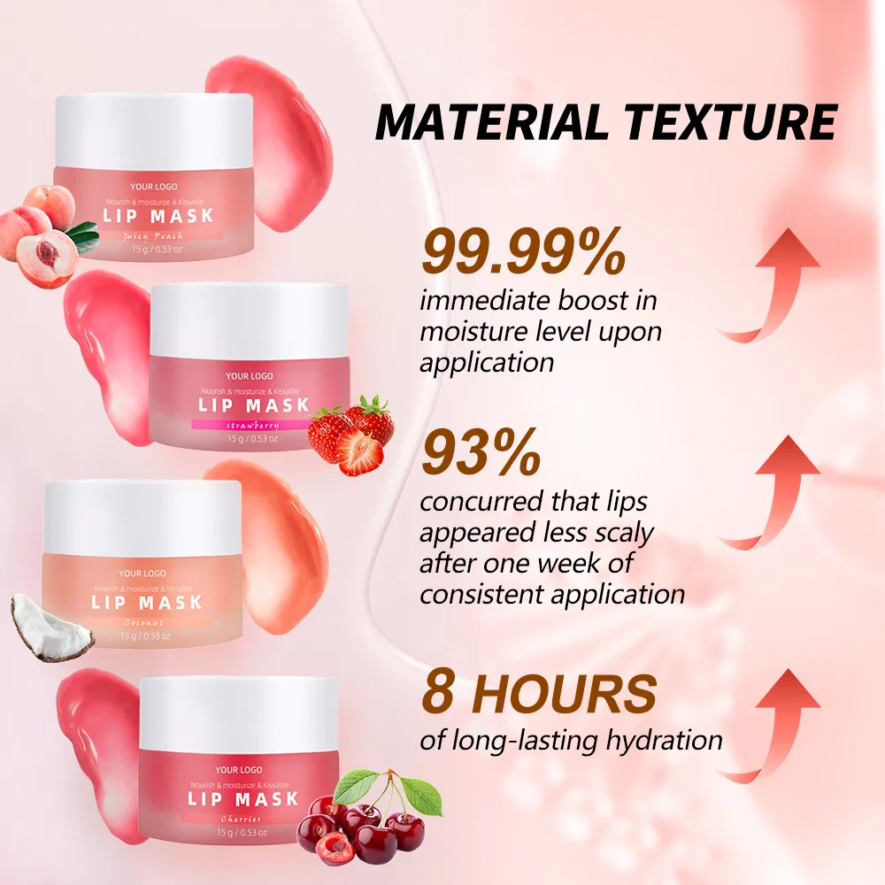 Private Label Vegan Hyaluronic Acid Vitamin C Lip Repair Care Balm Set