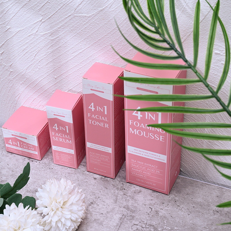 Natural Organic 4 in 1 Skin Care Set Vitamin C Serum Acne Cream Cleansing Face Mousse Skin Hydrating Toner Spray Facial Set