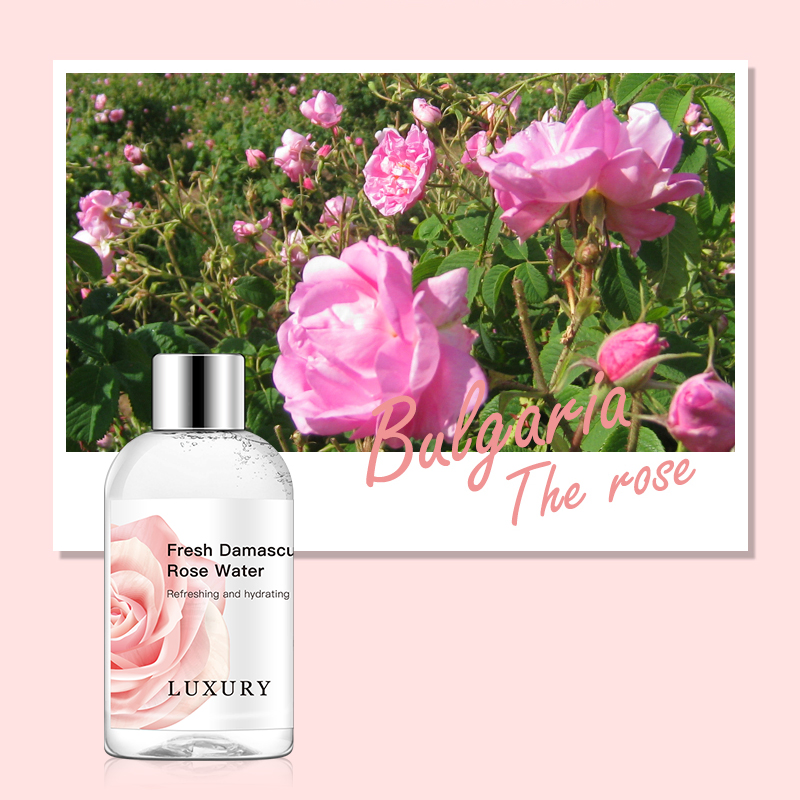 Custom Skin Care Hydrating Rose Water for Deep Moisture Face Toner Refreshing Hydration &amp; Calmness Facial Toner