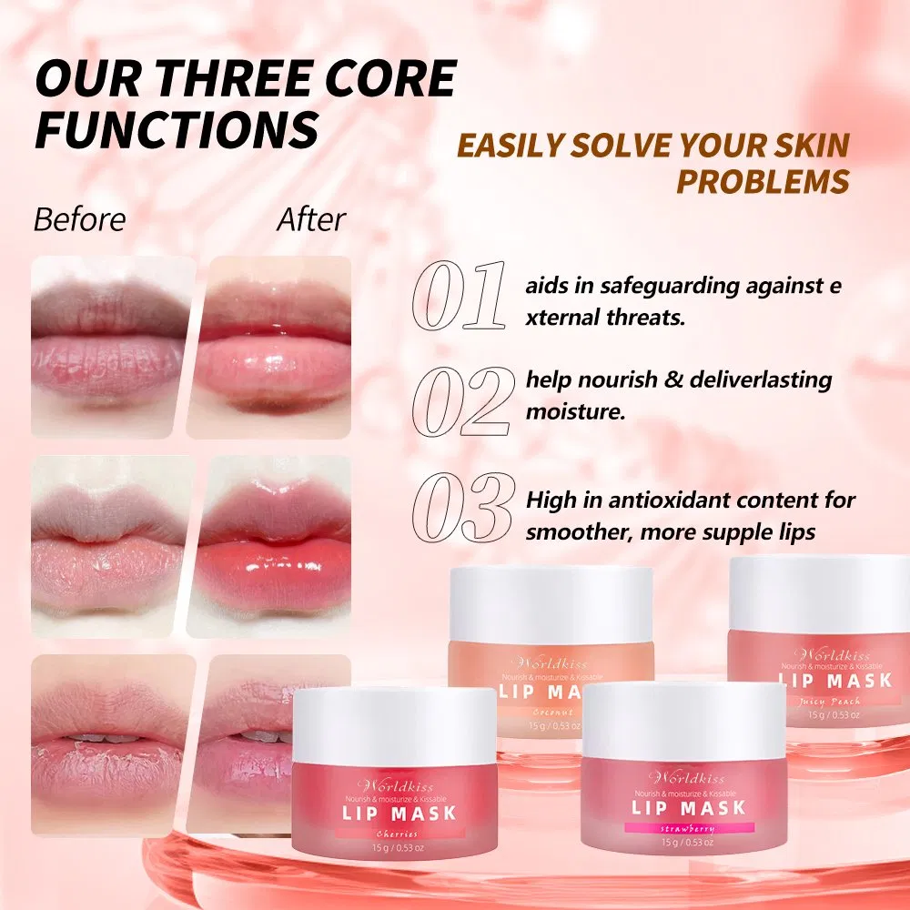 Private Label Vegan Hyaluronic Acid Vitamin C Lip Repair Care Balm Set