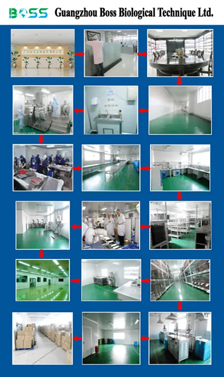 Organic OEM Whitening Skincare Essence