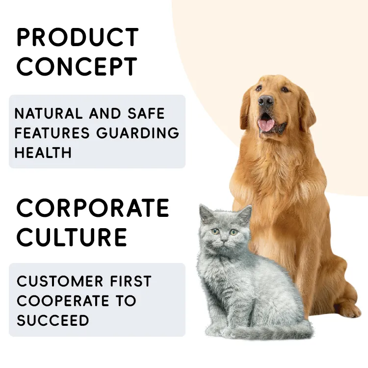 Vision Support Pet Chews 6