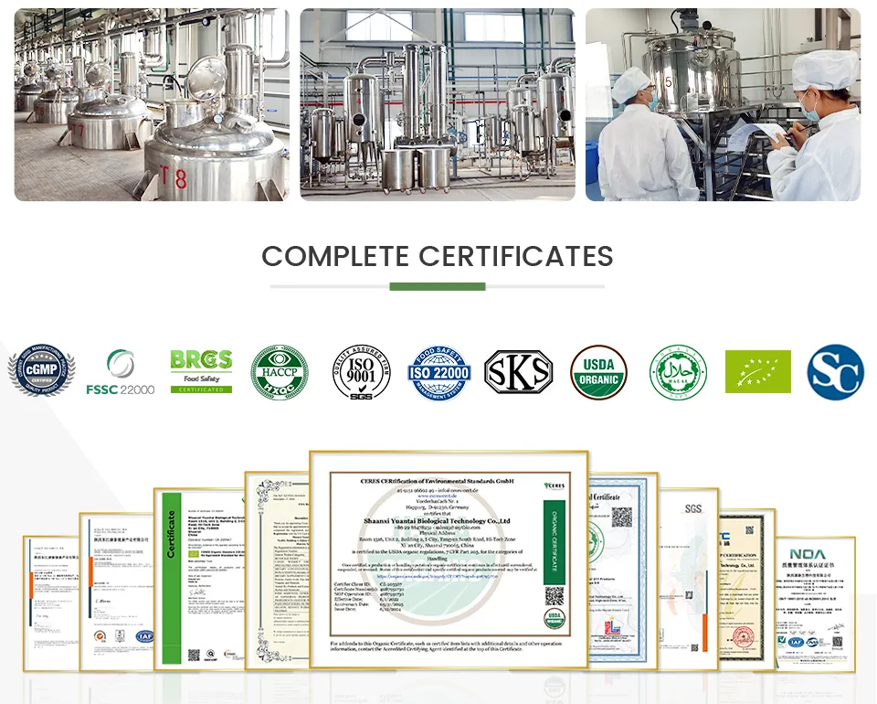 Pó de Proteína de Fava de Alta Pureza 80% Proteína, Não OGM, À Base de Plantas, Livre de Alérgenos