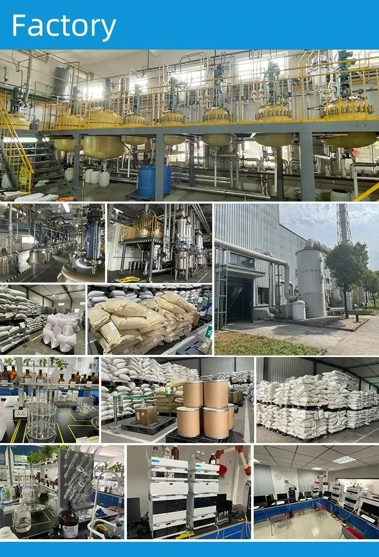 Produção