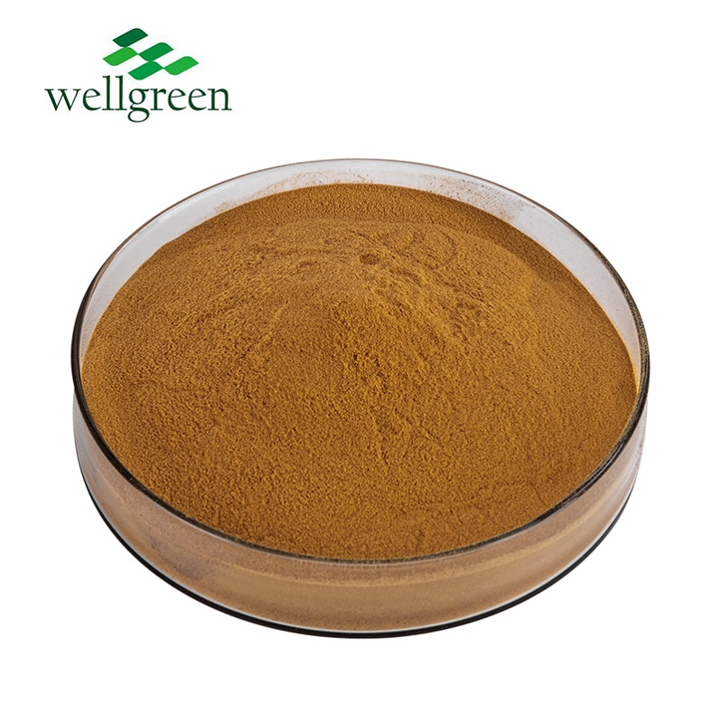 Extrato Herbal Chinês Polifenóis de Cássia Pau de Ceylon Casca Canela Orgânica em Pó