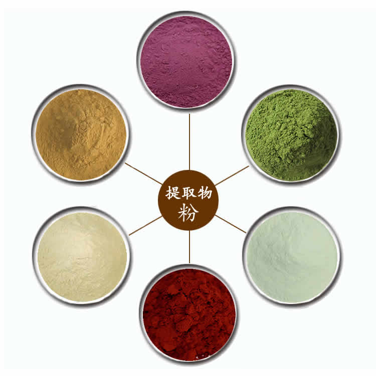 100% Coriolus Versicolor P. E. Polissacarídeo 50% Cogumelo Coriolus Extract 