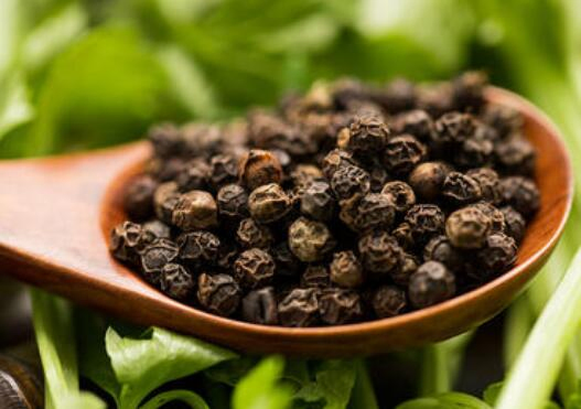 Especiarias Chinesas Certificadas Halal HACCP 1%-95%Piperine Extrato de Pimenta Preta