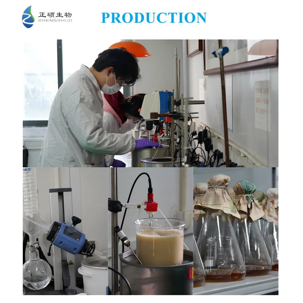 Laboratório