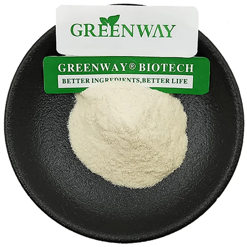 Sea Moss Powder Display