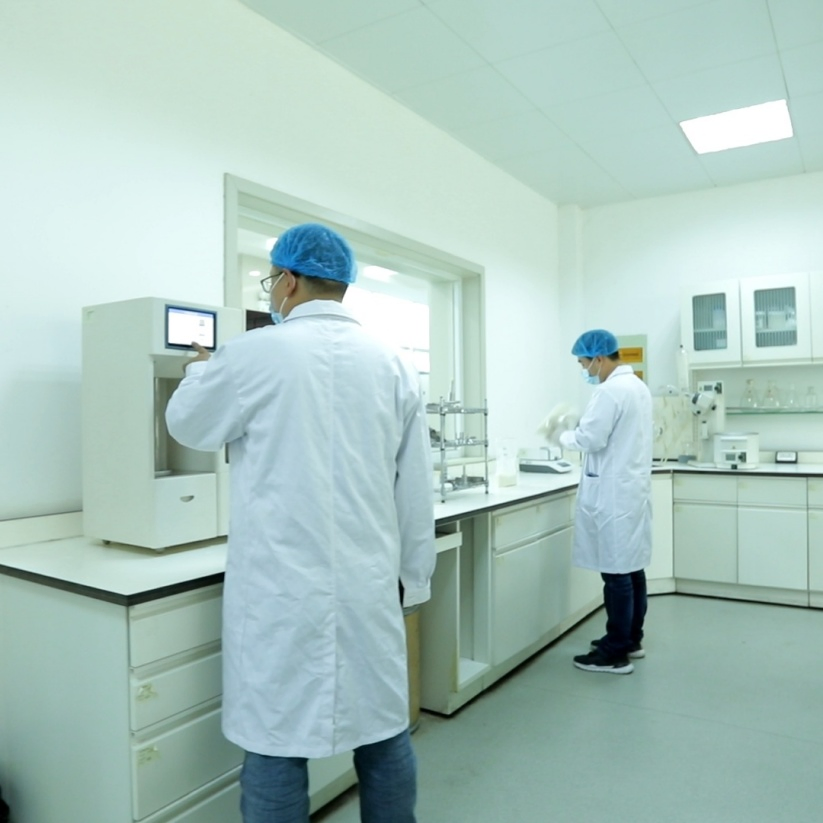 Proteína Isolada de Soja de Alta Pureza, Alta Fluidez e Alta Digestibilidade Funcional