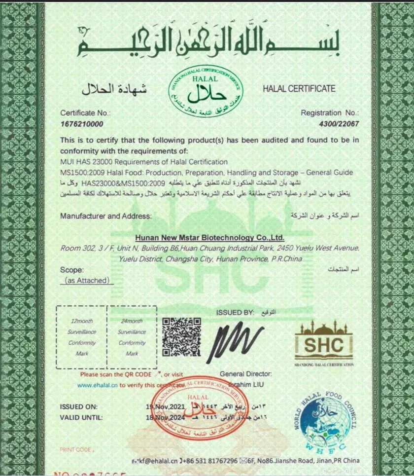 Certificado 2