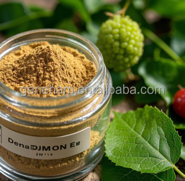 Pó de Extrato Herbal Dnj de Grau Alimentício Premium para Benefícios Antivirais