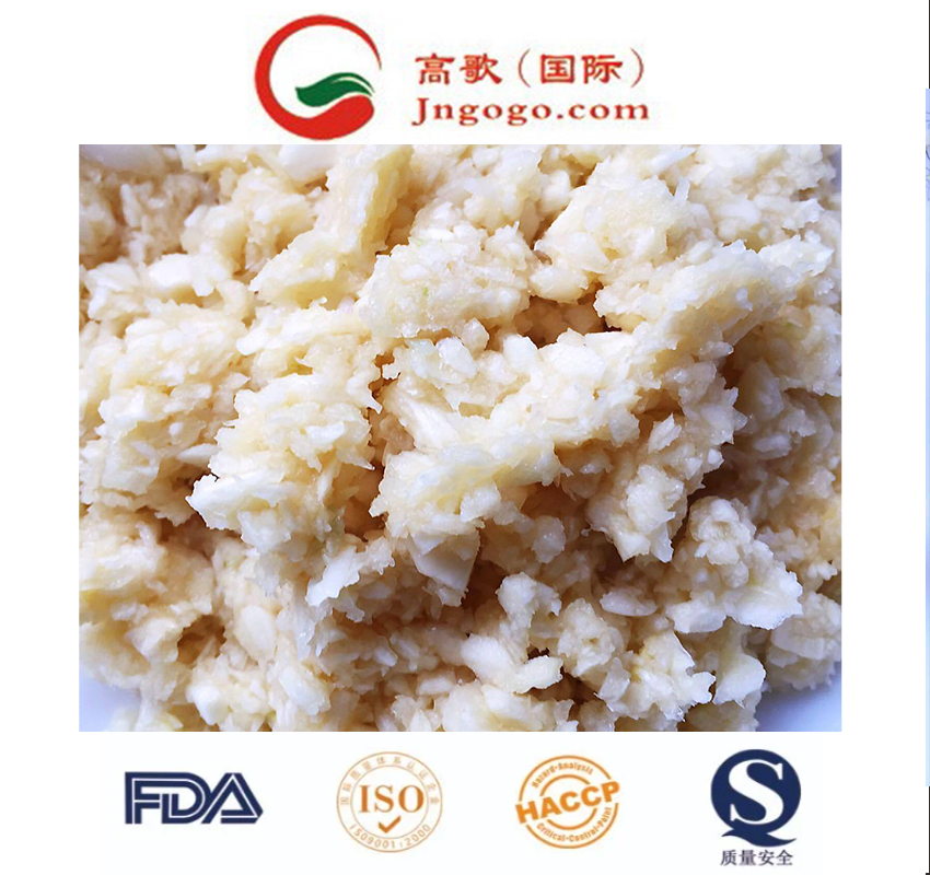 Extrato de Dente de Alho Gogo - Sabor Concentrado em uma Forma Conveniente