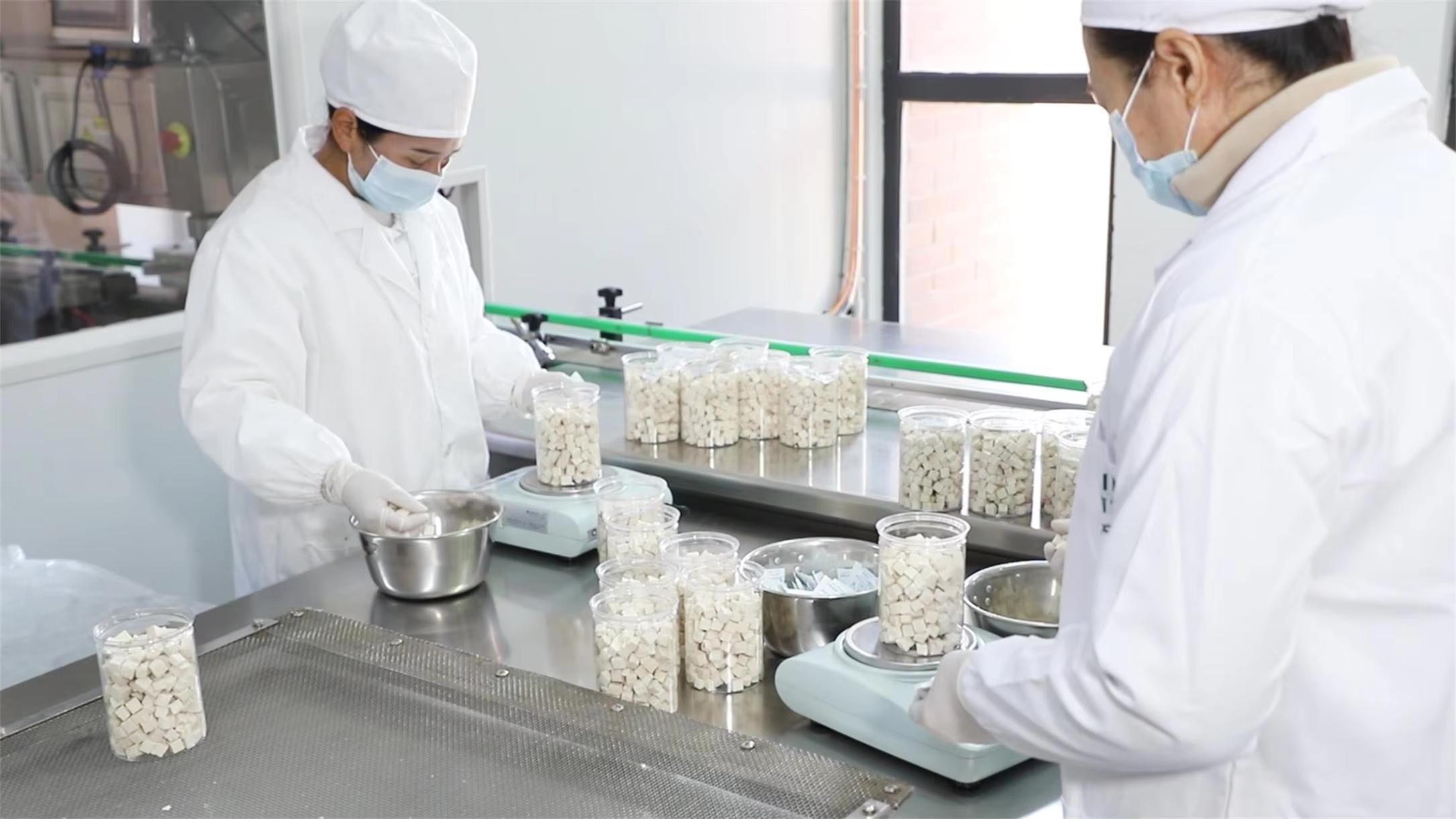 Processo de pesagem precisa de extratos vegetais Xi'an Ajuro Biology