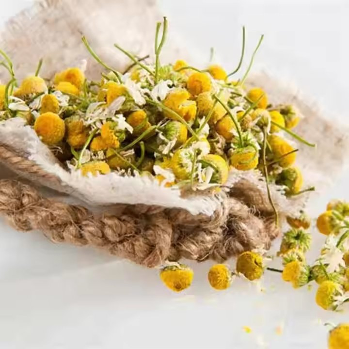 Água Floral de Camomila Hidrossol Natural Pura para o Rosto Hidratante de Cuidados com a Pele