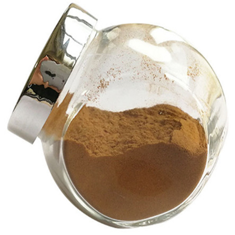 Pó de Rizoma de Solomonseal Premium para Remédios Herbais e Saúde