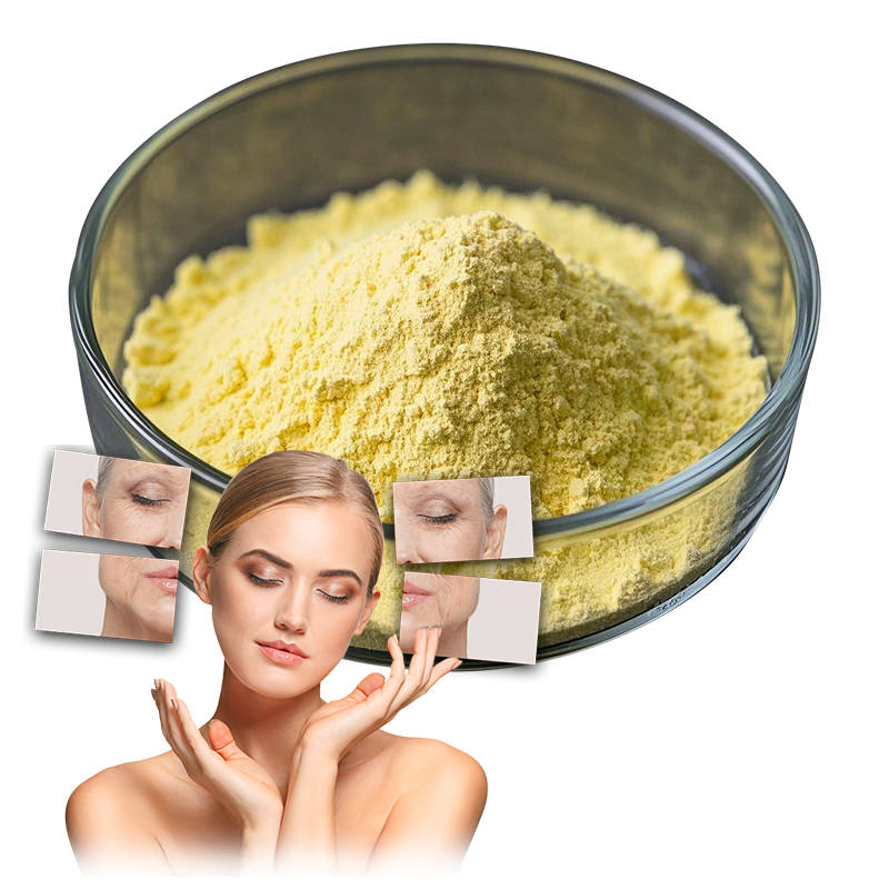 Pó de Retinol de Alta Pureza 99% Síntese de Colágeno e Renovação Celular Materiais Brutos Cosméticos