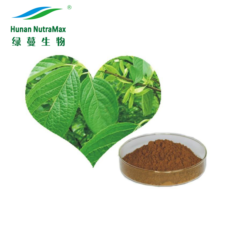 Extrato de Casca de Eucommia Ulmoides Natural 10%~98% Extrato de Ácido Clorogênico