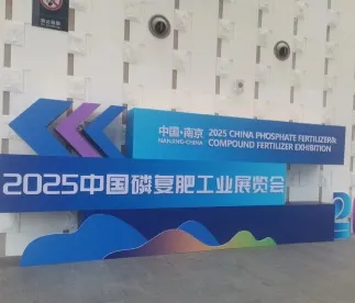 Exposição 4