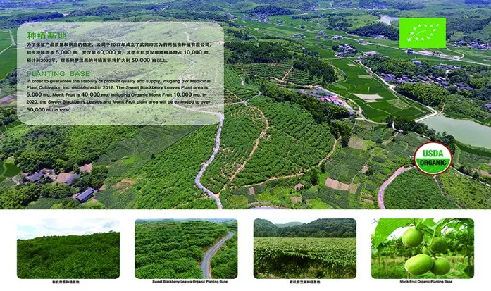 Produção 4