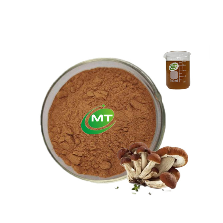Fábrica de Suplementos Orgânicos Fornece Extrato de Cogumelo Agrocybe Chaxingu