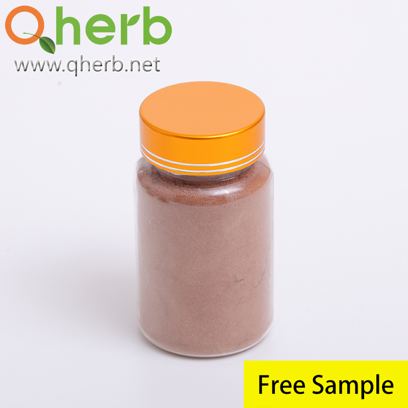 Pó de Extrato de Fruto de Baga de Schizandra Herbal Schisandra Chinensis 2%~9% Schizandrinas HPLC