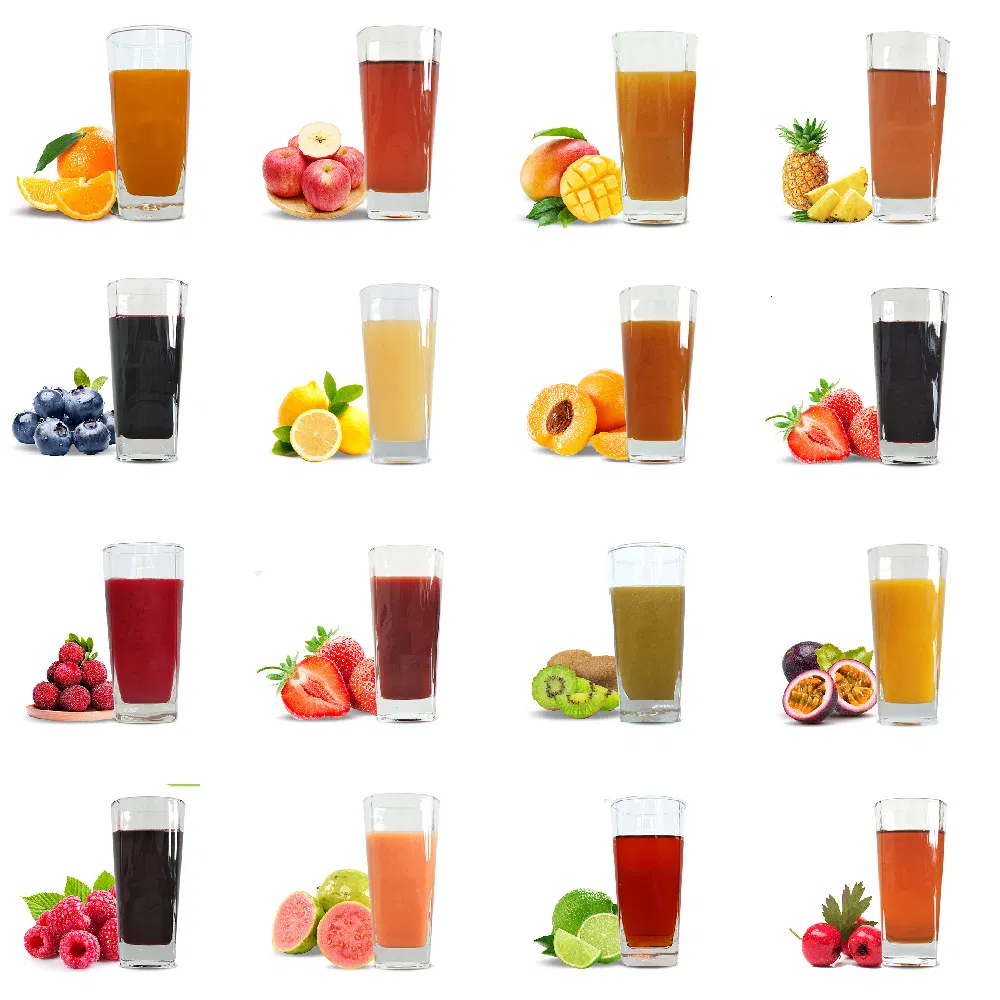 Suco Concentrado de Laranja Purê de Laranja Concentrado de Suco de Kumquat Bebida
