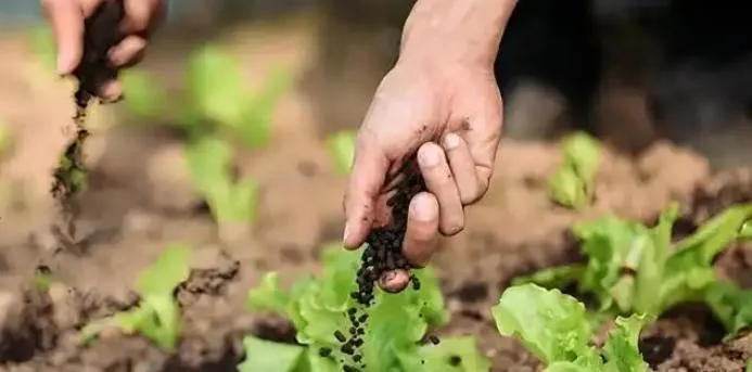 Agricultura