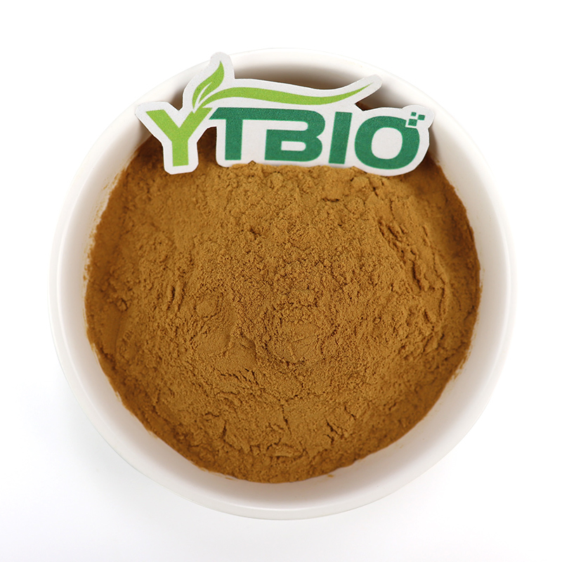 Preço de Fábrica Extrato Herbal Natural A Granel Extrato de Ajuga Turkestanica Pó de Turkesterona