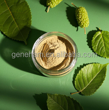 Pó de Extrato Herbal Dnj de Grau Alimentício Premium para Benefícios Antivirais