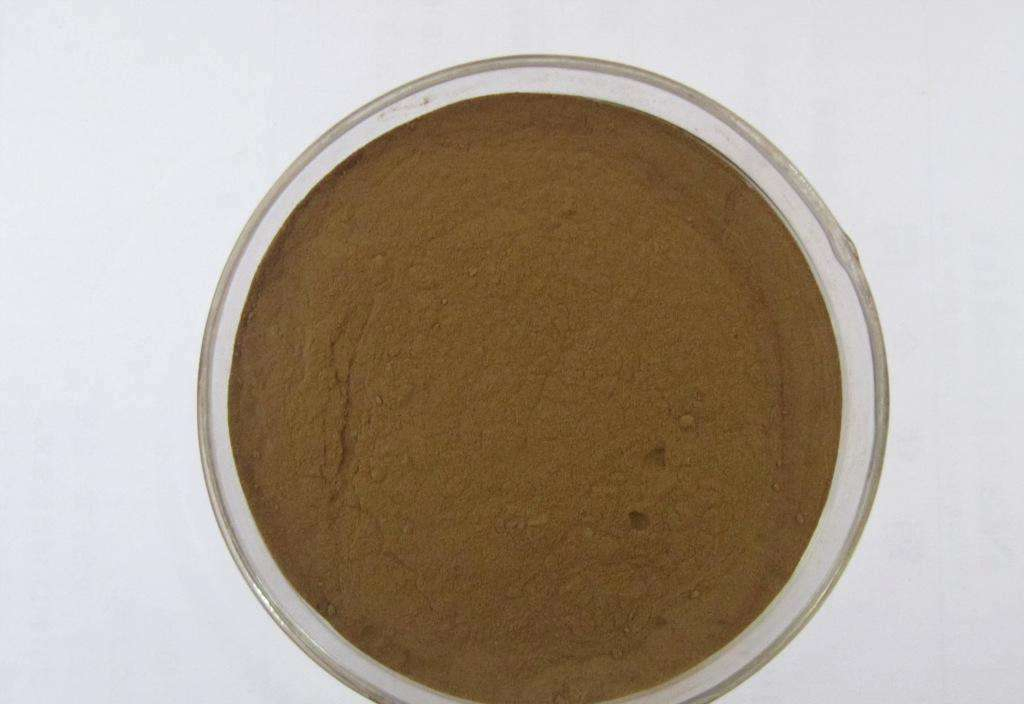 Natural 95% Capsaicina Capsaicinoides Pó Extrato de Pimenta Vermelha Extrato de Capsicum Extrato de Pimenta do Reino