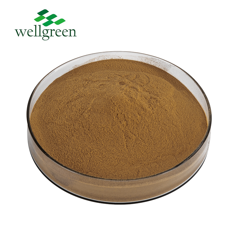 Amostra Grátis Óleo Essencial Natural Flor Planta Pó de Alta Qualidade Pureza Extrato de Lavanda