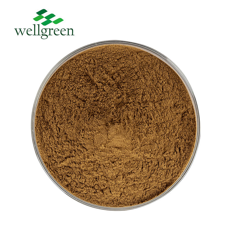 Suplemento Herbal Raiz de Lírio Anão 10: 1 Extrato em Pó de Radix Ophiopogonis