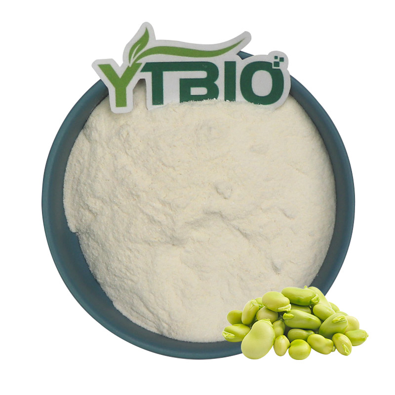Pó de Proteína de Fava de Alta Pureza 80% Proteína, Não OGM, À Base de Plantas, Livre de Alérgenos