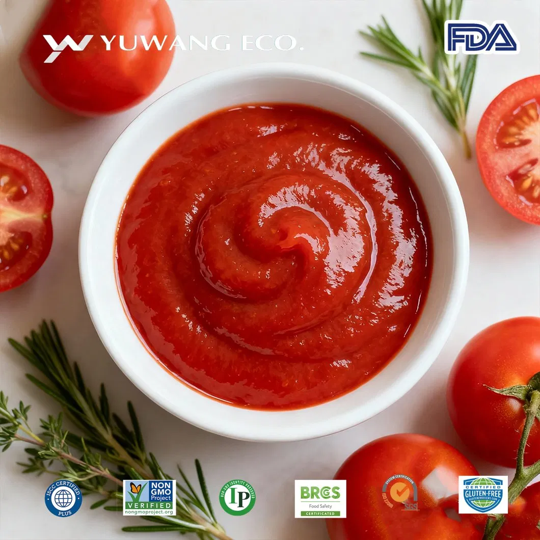 Fibra Dietética Não-OGM de Alta Qualidade, Solúvel em Água e Nutricionalmente Estável à Base de Plantas