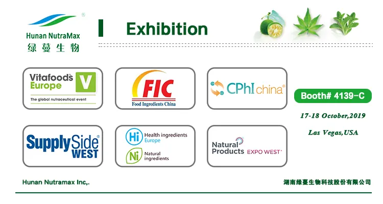 Exposição