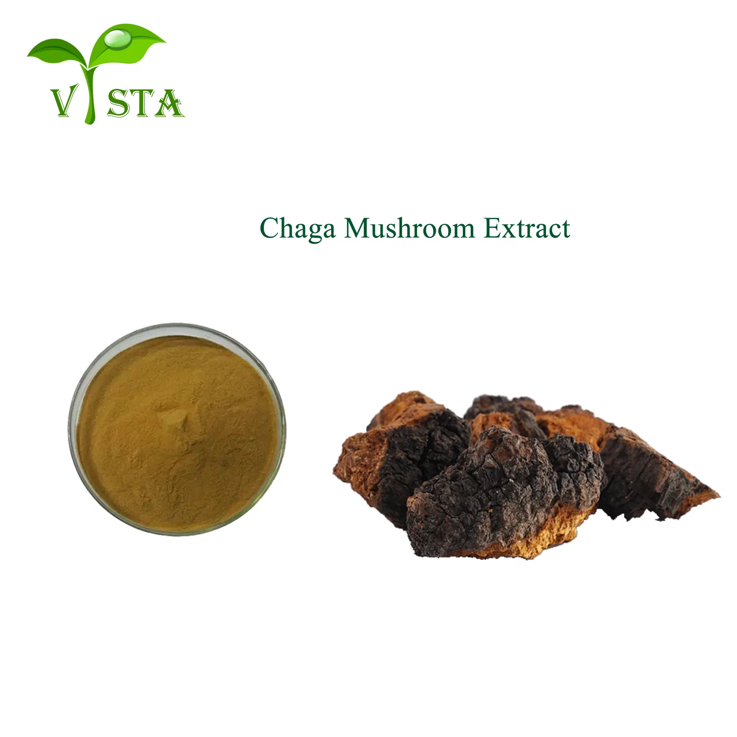 Extrato de Planta de Alta Qualidade Extrato de Chaga Pó de Cogumelo Chaga Extrato de Cogumelo Chaga