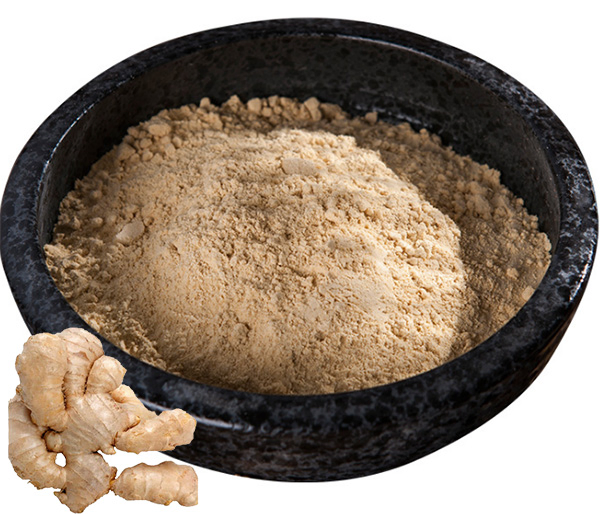 Pó de Extrato de Raiz de Gengibre - Gengibre Seco Natural para Alimentos e Saúde