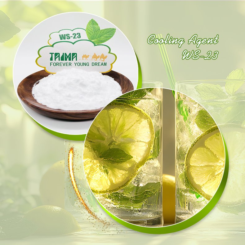 Comida Grade51115-67-4 Agente de Resfriamento Ws23 Powder/Ws-23 Ws-3 Ws-5