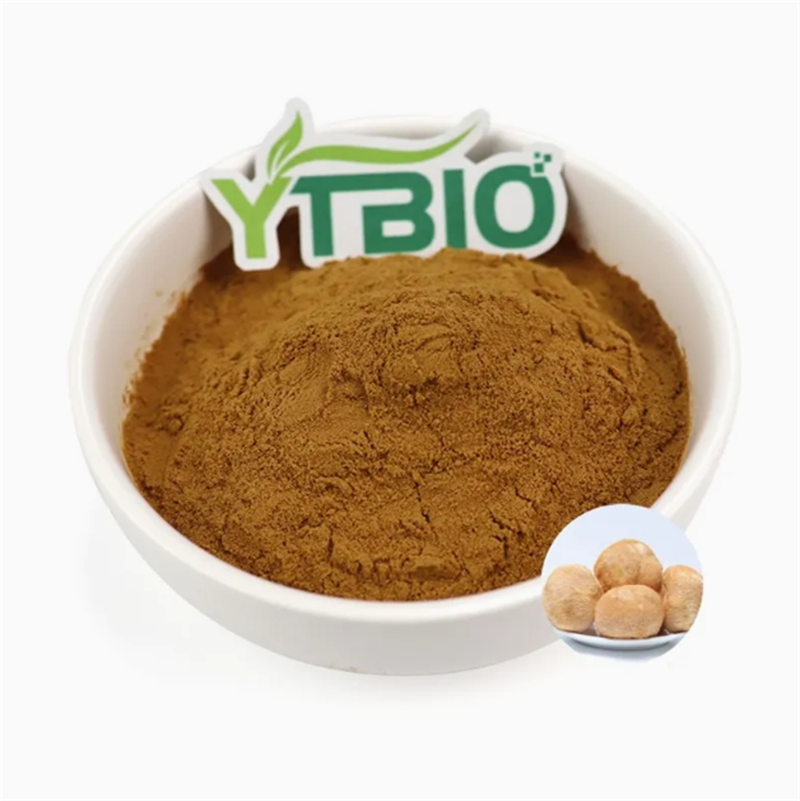 Fabricação de Extrato de Hericium Erinaceus 30% Polissacarídeos Pó de Extrato de Cogumelo Lion's Mane