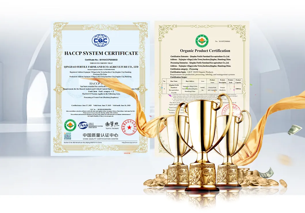 Certificados