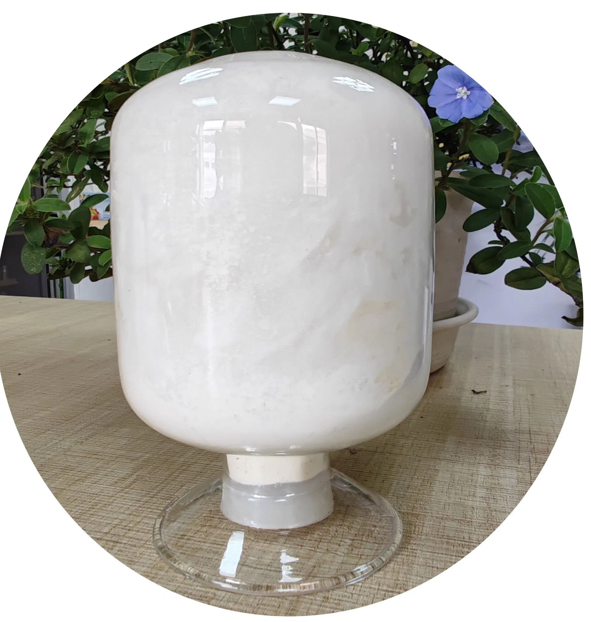 Pó de Óleo de Coco Premium com Vitaminas Essenciais para Bebidas