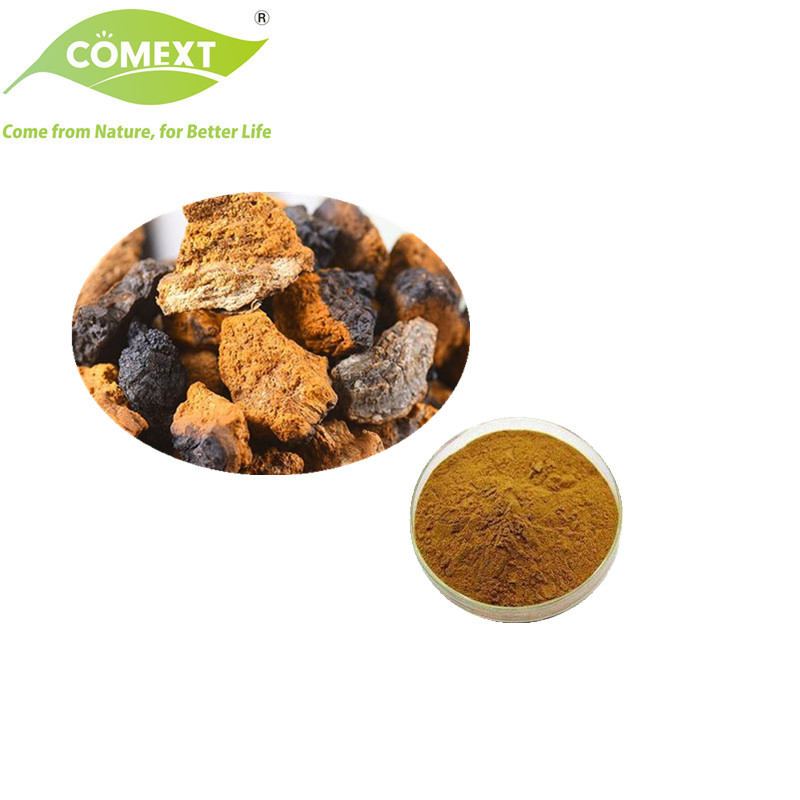 Produto de Saúde da Fábrica Comext para Antioxidante Usado em Extrato de Cogumelo Farmacêutico