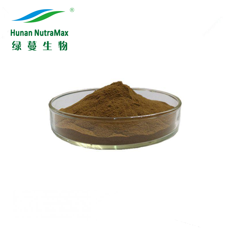 Extrato de Casca de Eucommia Ulmoides Natural 10%~98% Extrato de Ácido Clorogênico
