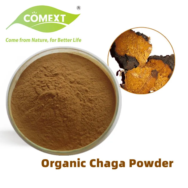 Extrato de Cogumelo Chaga